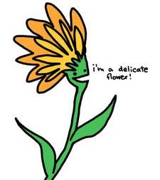 delicate-flower